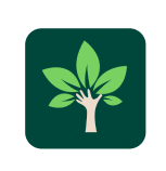 Orígenes 100% Transparentes